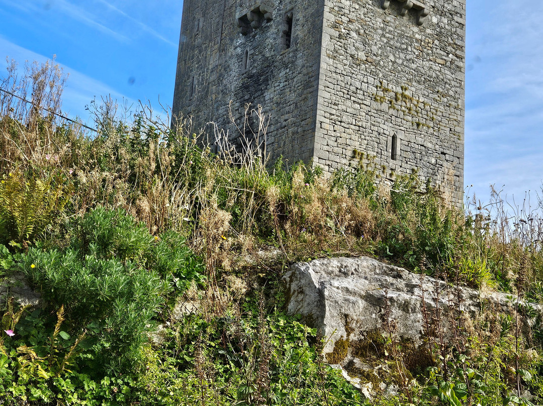 巴里诺尔拉坎城堡田园酒店主图