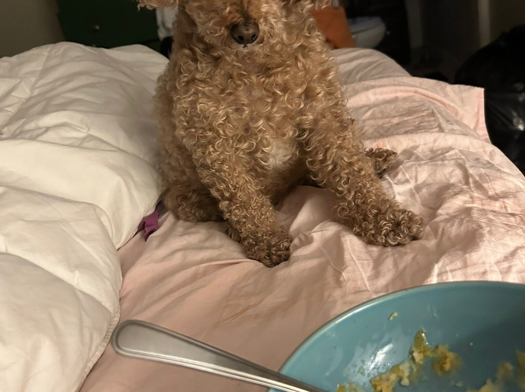 Bowditch Point Park-迈尔斯堡海滩必去景点