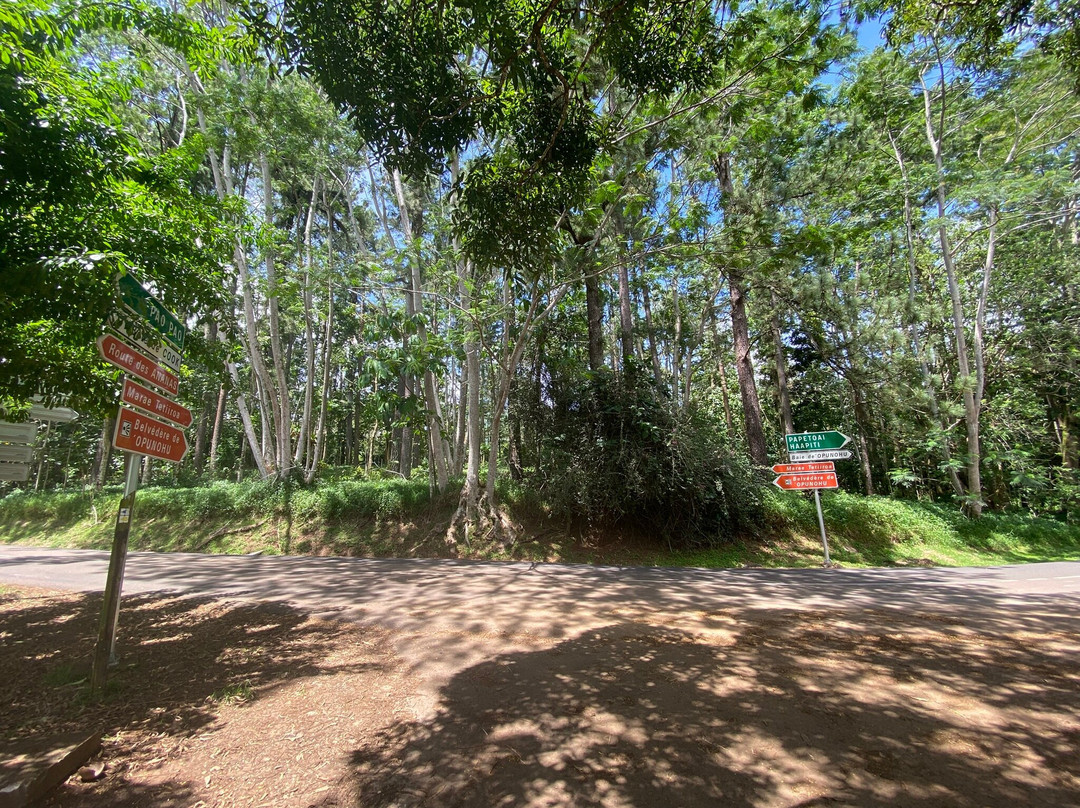Vallée D'opuhonu (pineapple Fields)-帕佩托艾必去景点
