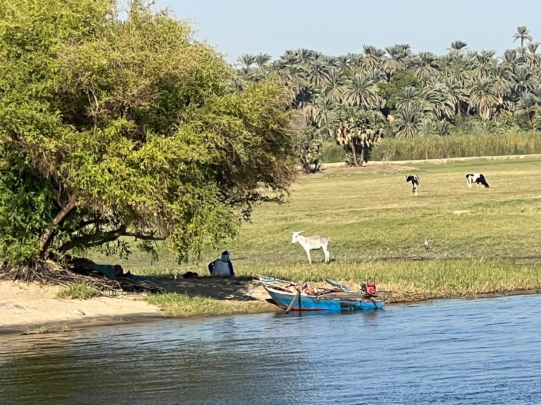 Egypt Tours Merit Amun - Giza-吉萨必去景点