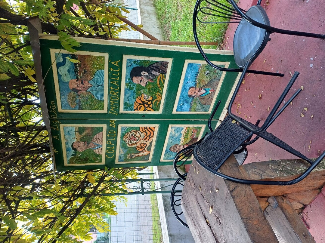 Casa Museo Antonio Ligabue景点图片