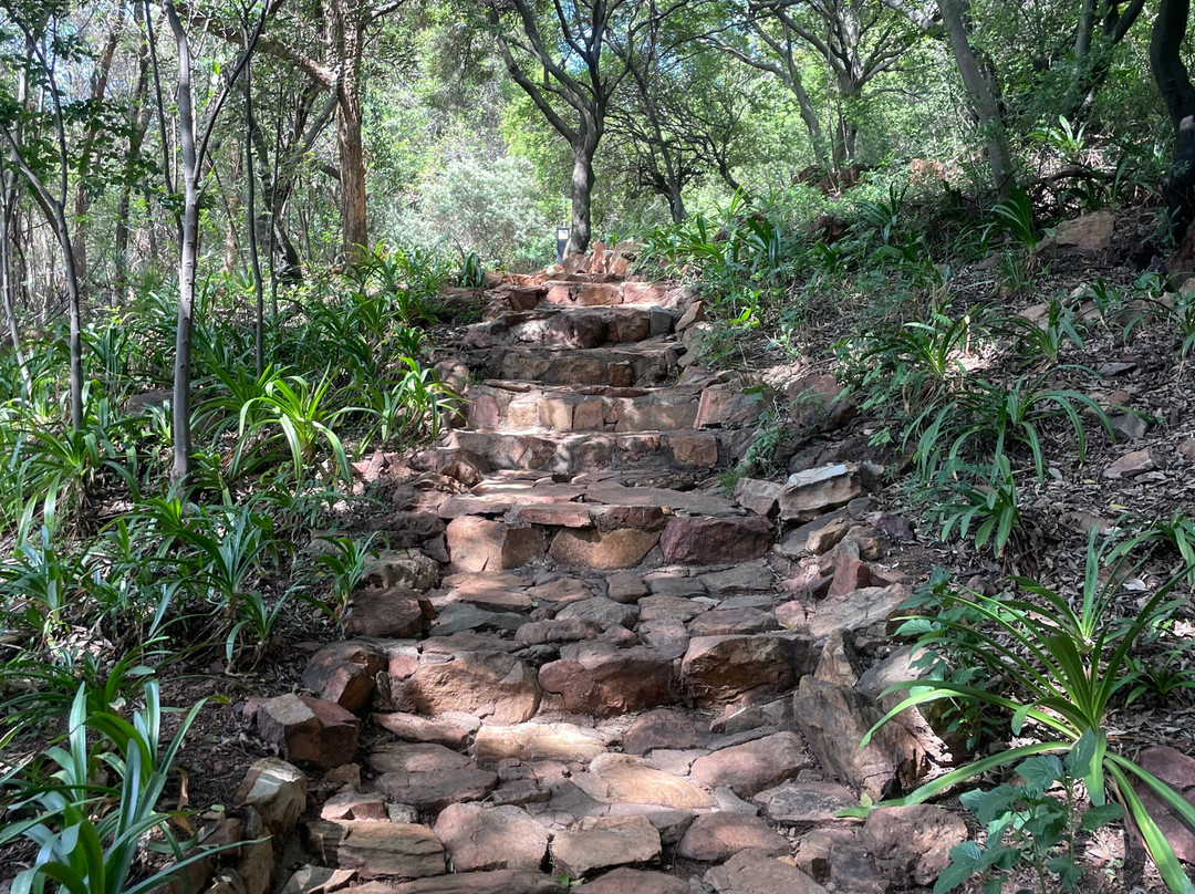 The Wilds Nature Reserve景点图片