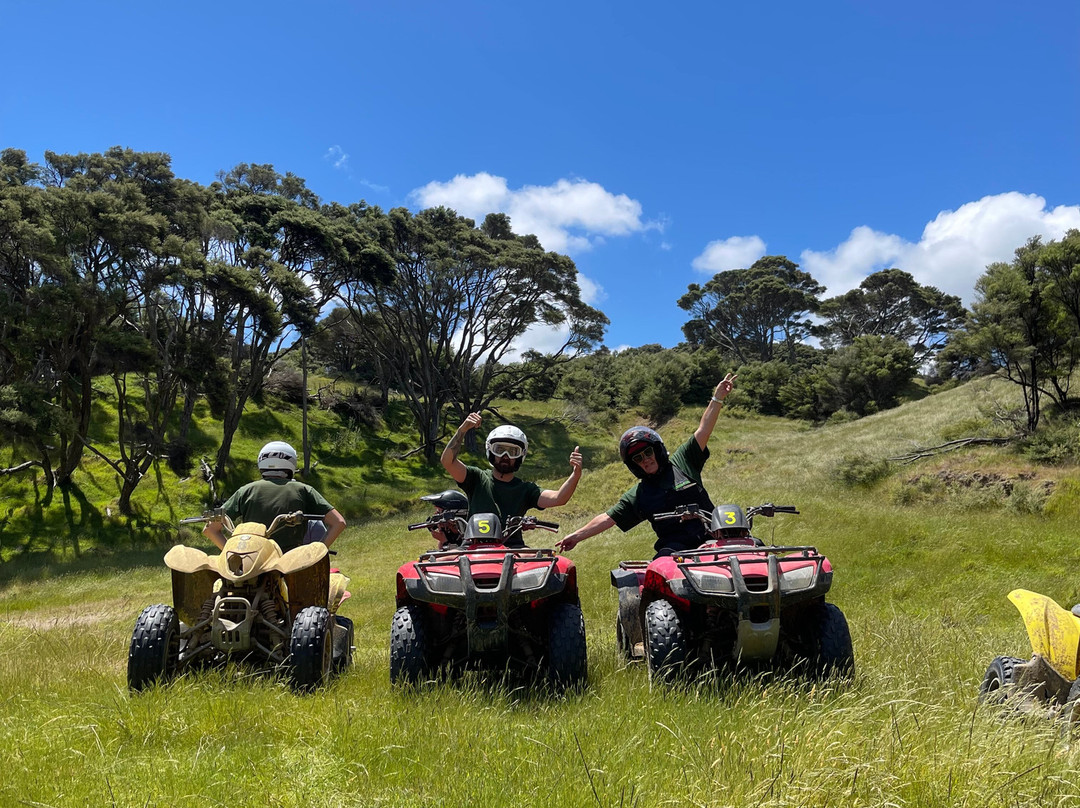 4Track Adventures-奥克兰中心地区必去景点