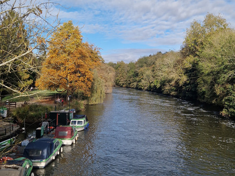 Samanta Mature Massagem-坎皮纳斯必去景点