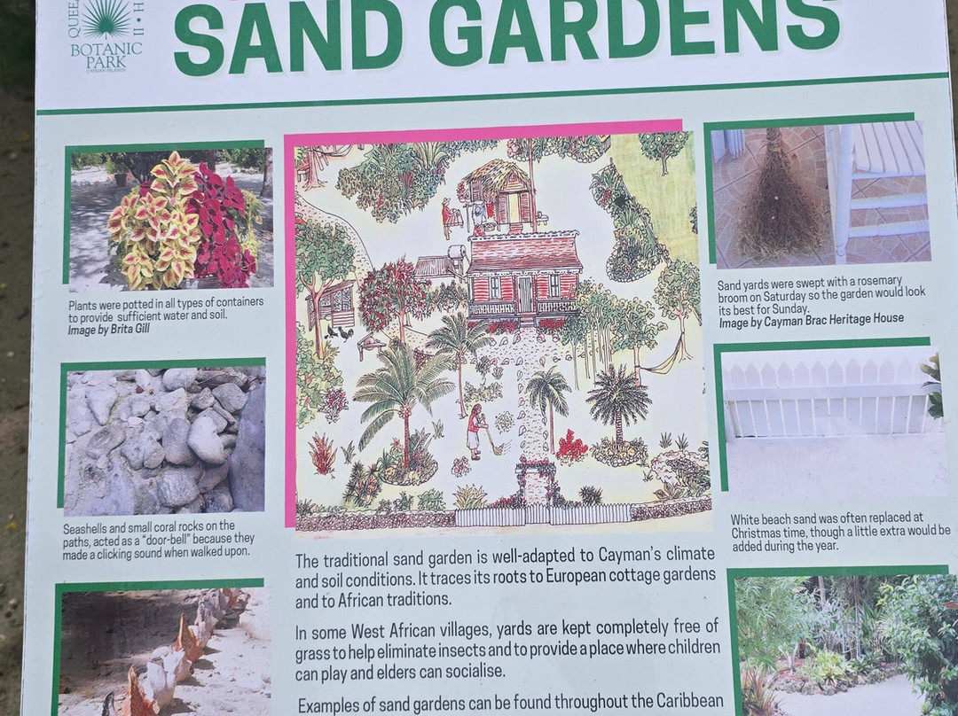 Blue Iguana Conservation Tour-North Side必去景点