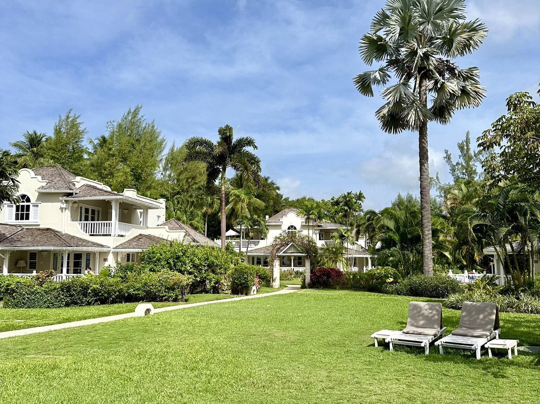 Coral Reef Club主图