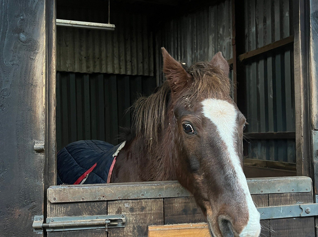 Noakes Farm Riding Centre景点图片