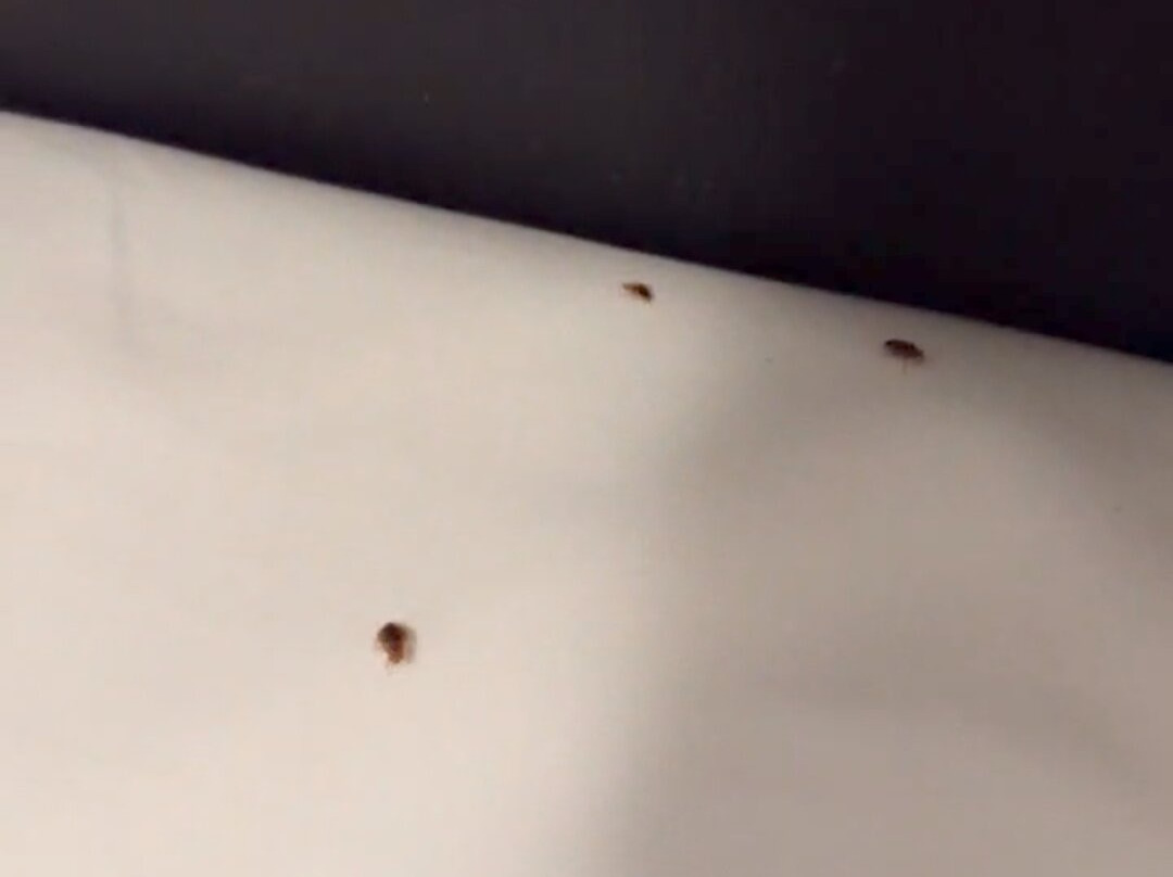 福特斯克瑞汽车旅馆加服务式公寓酒店主图