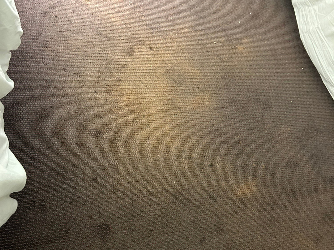 最佳西方圣莫里斯酒店主图