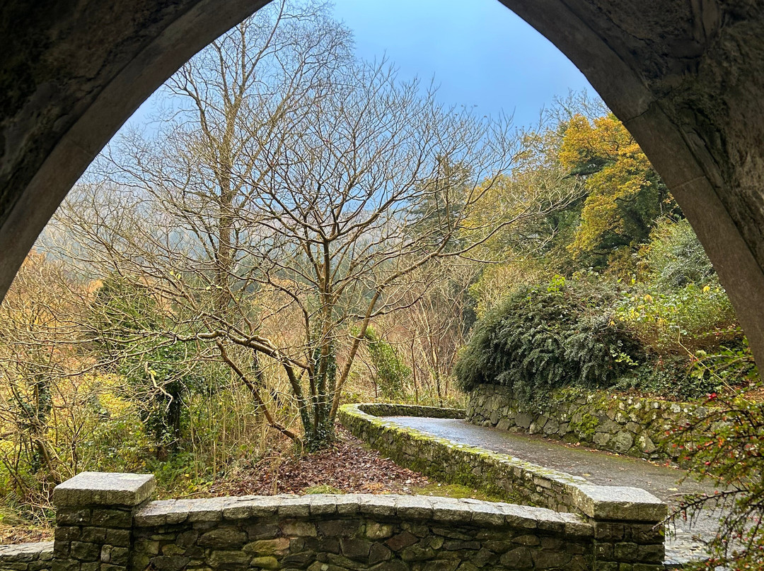 Tollymore Forest Park景点图片