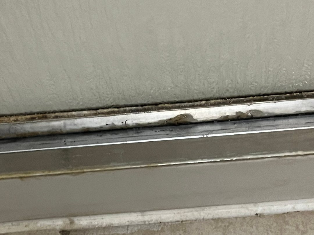 阿尔图斯希尔顿恒庭旅馆&套房酒店主图