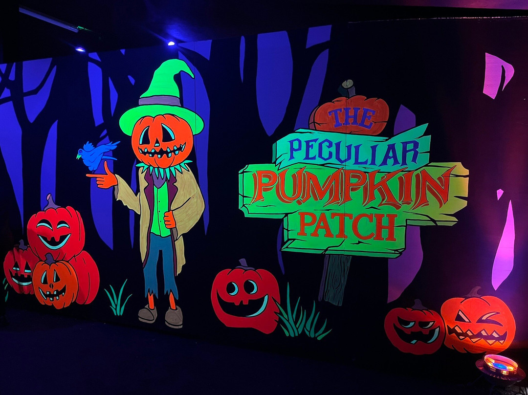 Pumpkin Time @ Sunnyfields Farm景点图片