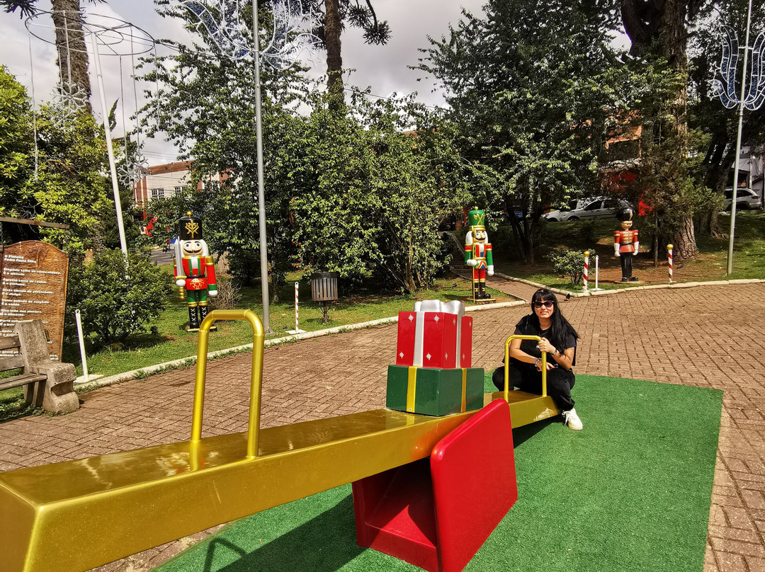 Praça Julio Domingues Pereira-坎普斯－杜若尔当必去景点