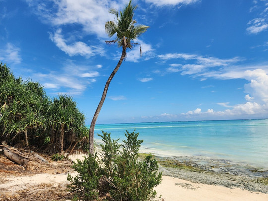 Mody Zanzibar Tours & Safaris-石头城必去景点