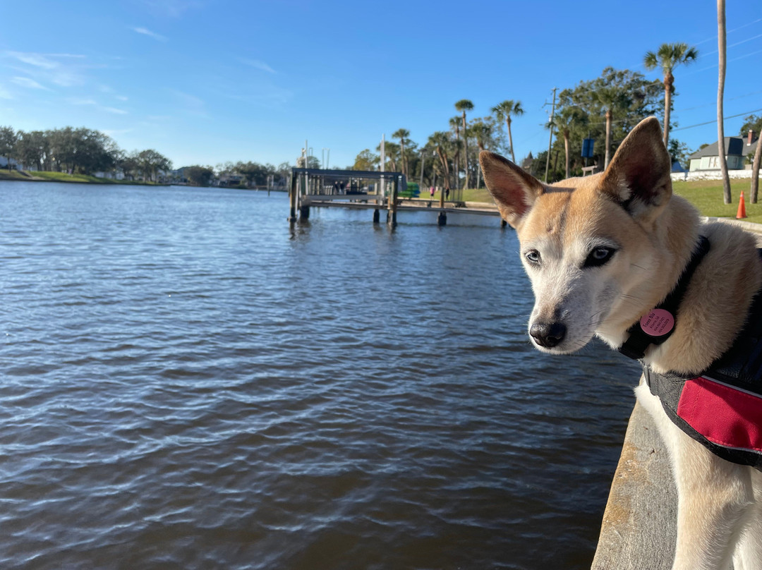 Craig Park-塔彭斯普林斯必去景点