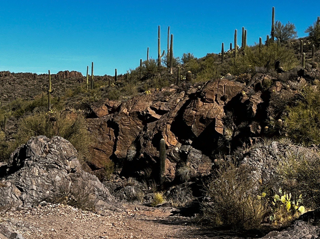 Apache Trail Tours-Apache Junction必去景点