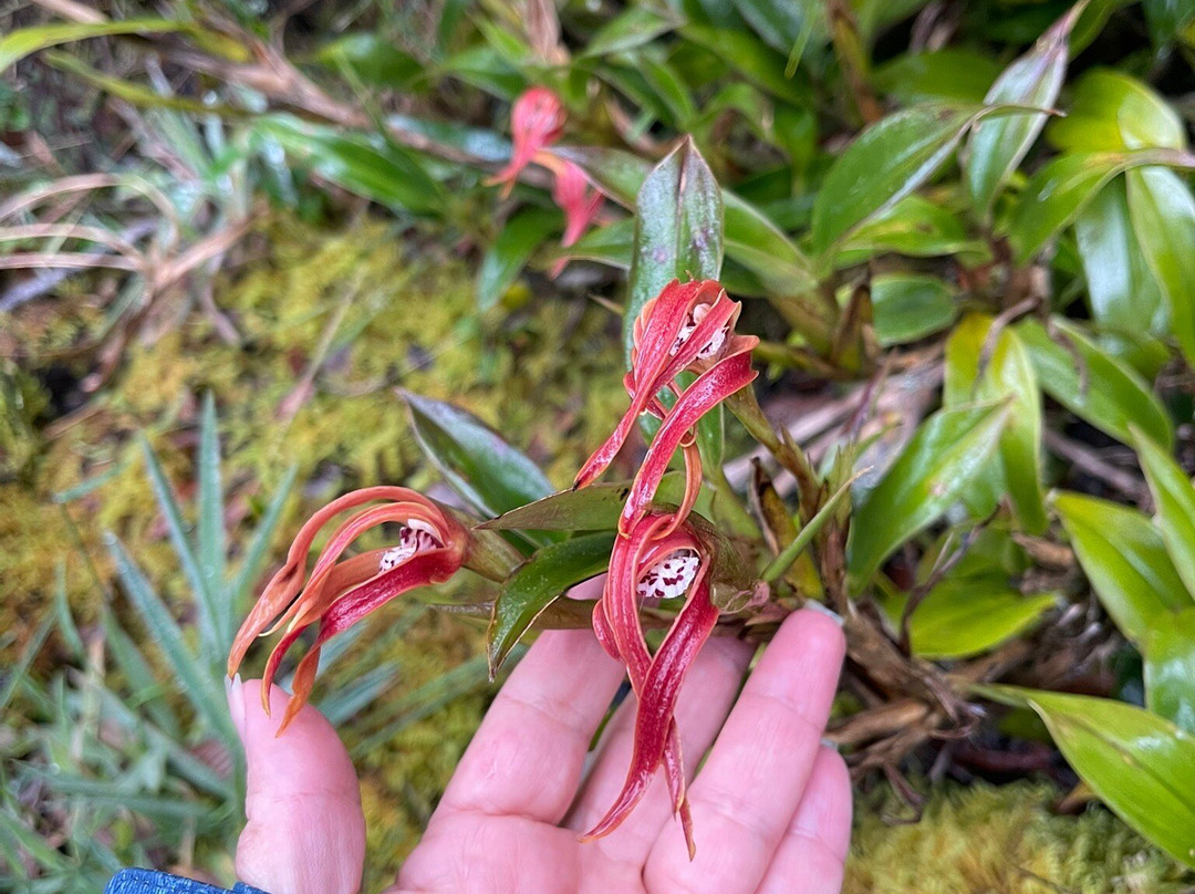 Parque Nacional Natural Puracé-Purace必去景点