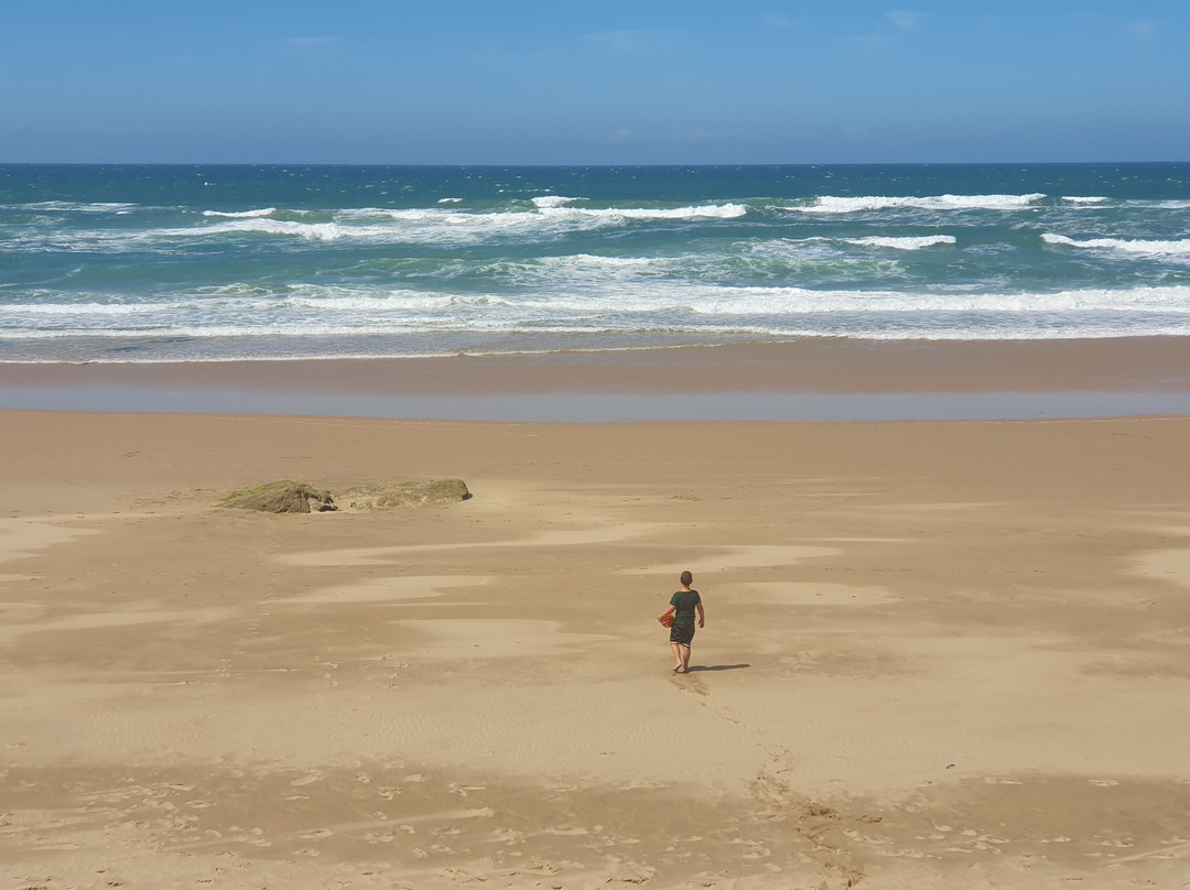 Wilderness Beach-荒野必去景点