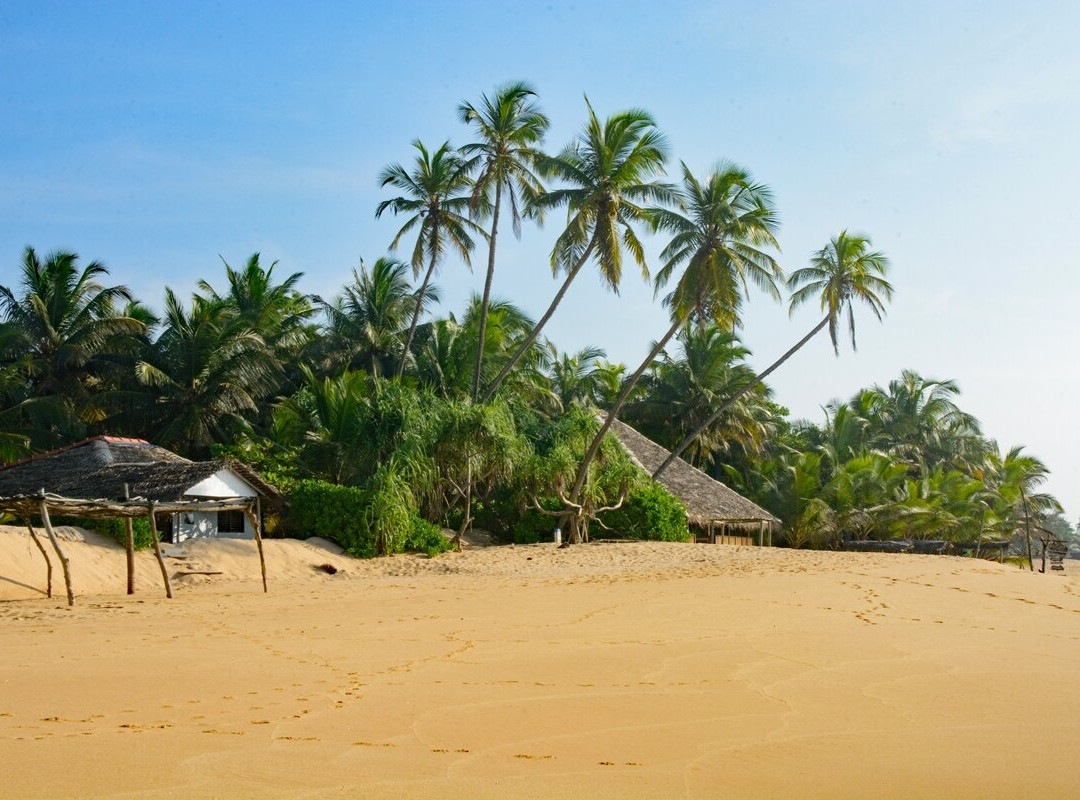 Cinnabar Resort主图