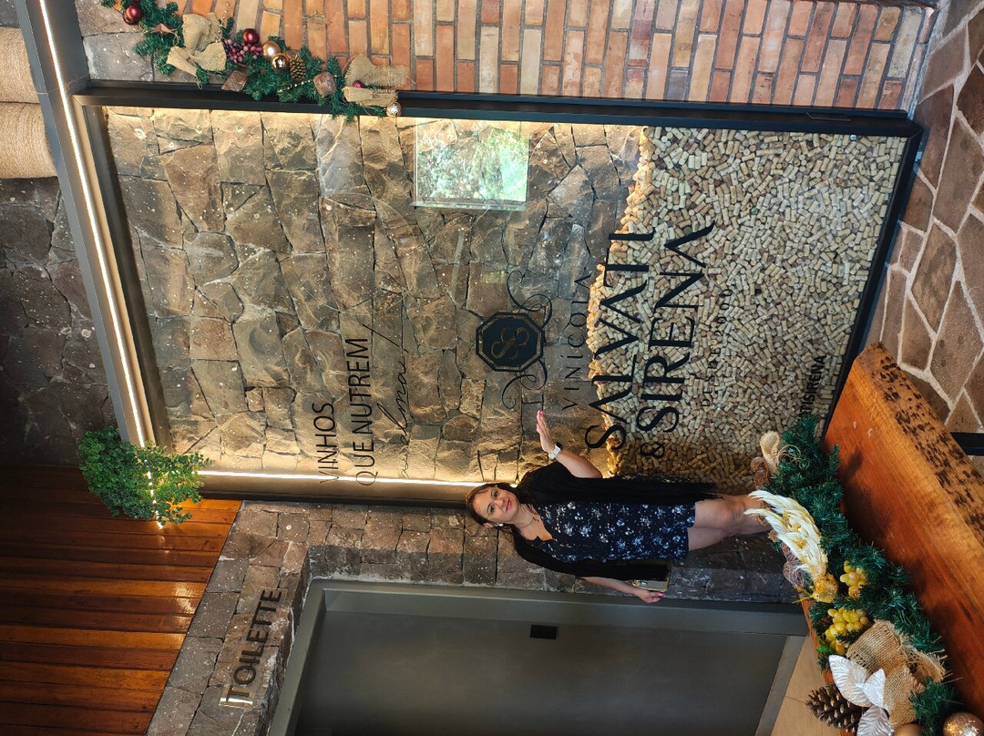 Vinicola Salvati & Sirena景点图片