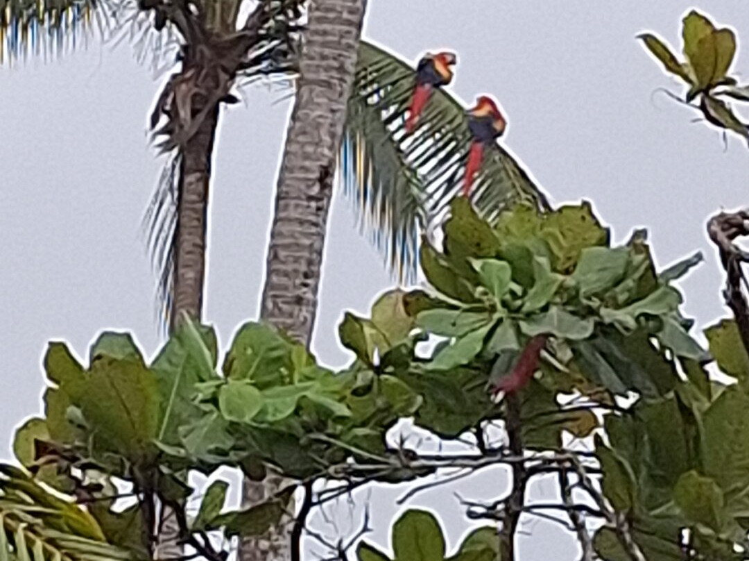 Dreamy Contentment主图