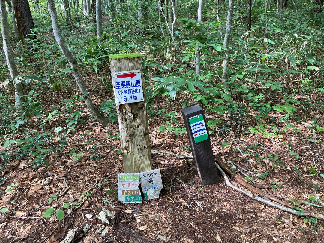 Sekaiyachi Native Flower Trail-栗原市必去景点