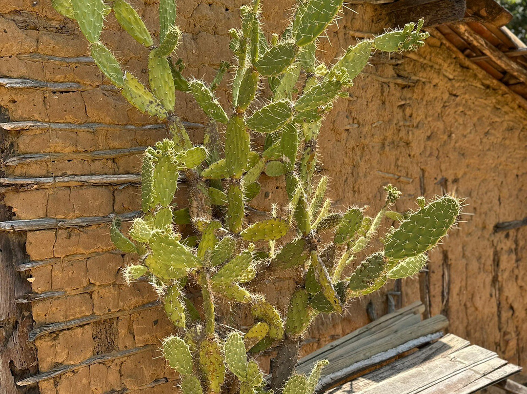 Espaço Ecológico Angicos-Piranhas必去景点