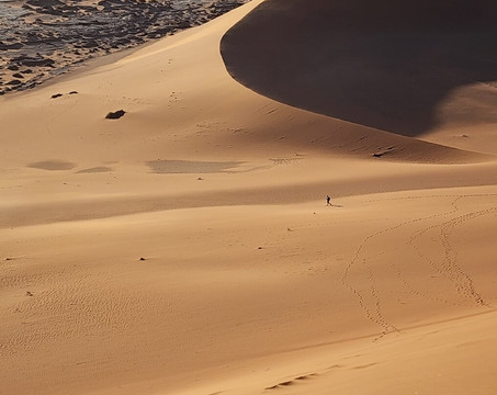 C Africa Safaris & Tours-温德和克必去景点