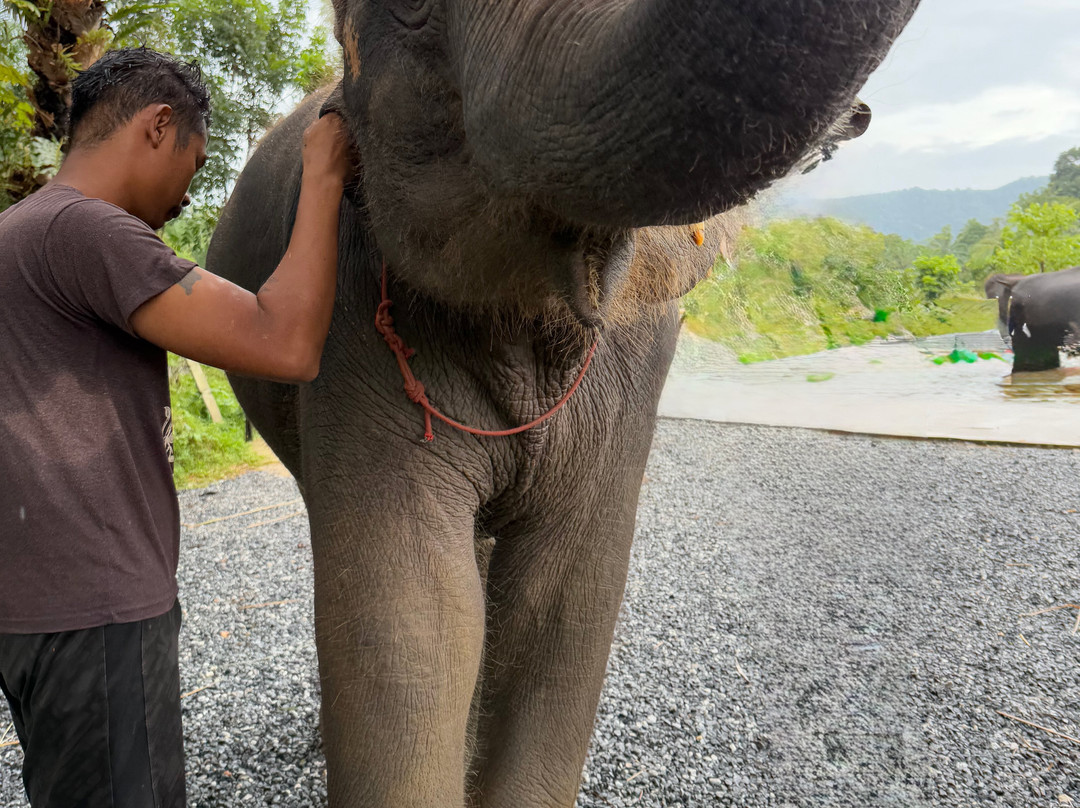 Krabi Elephant​ Heaven​-奥南必去景点