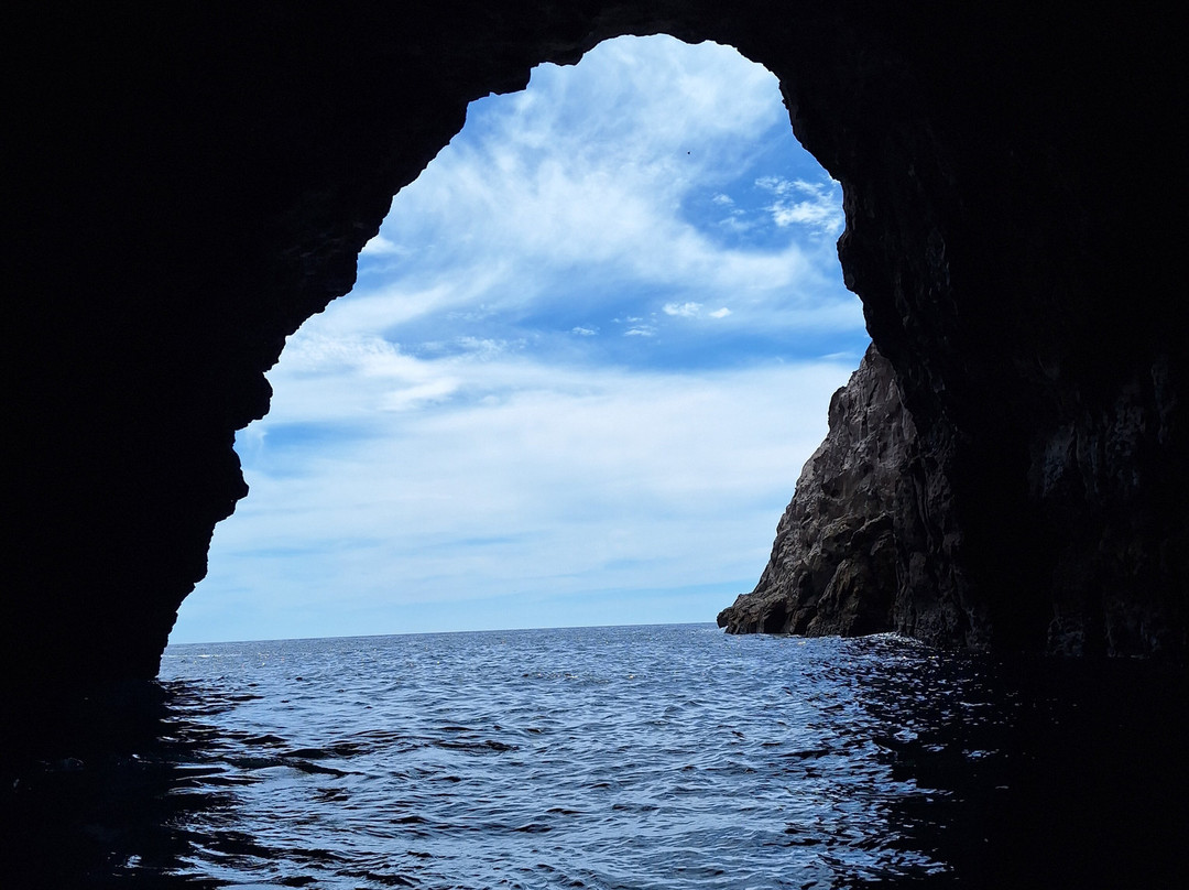 Cathedral Cove Scenic Cruises-菲蒂昂格必去景点