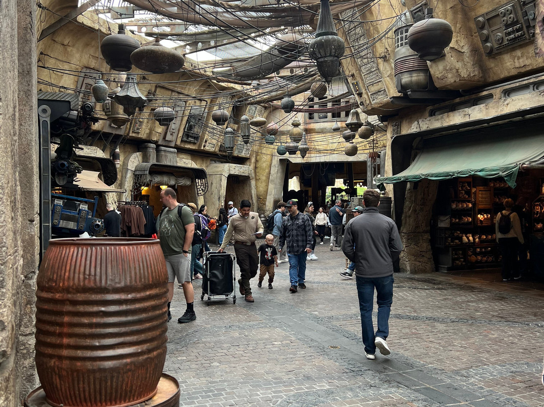 Star Wars: Galaxy’s Edge-阿纳海姆必去景点