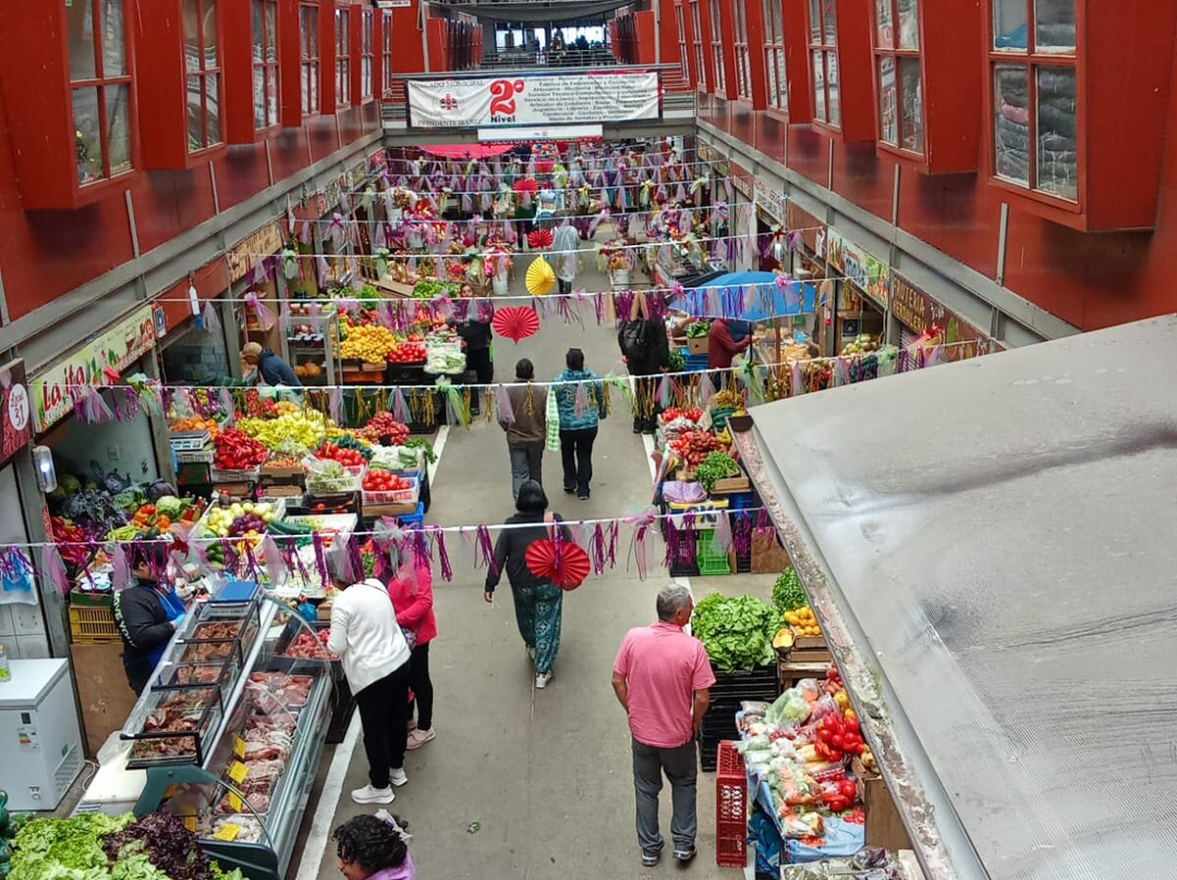 Mercado Presidente Ibanez-蒙特港必去景点