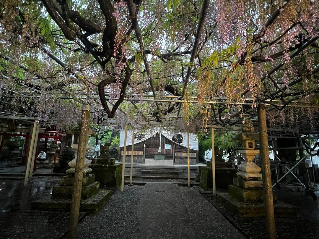 Dasai Shrine-肉粟市必去景点