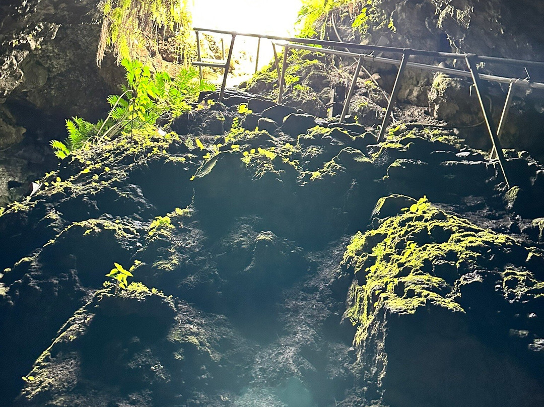 Hana Lava Tubes-海库必去景点