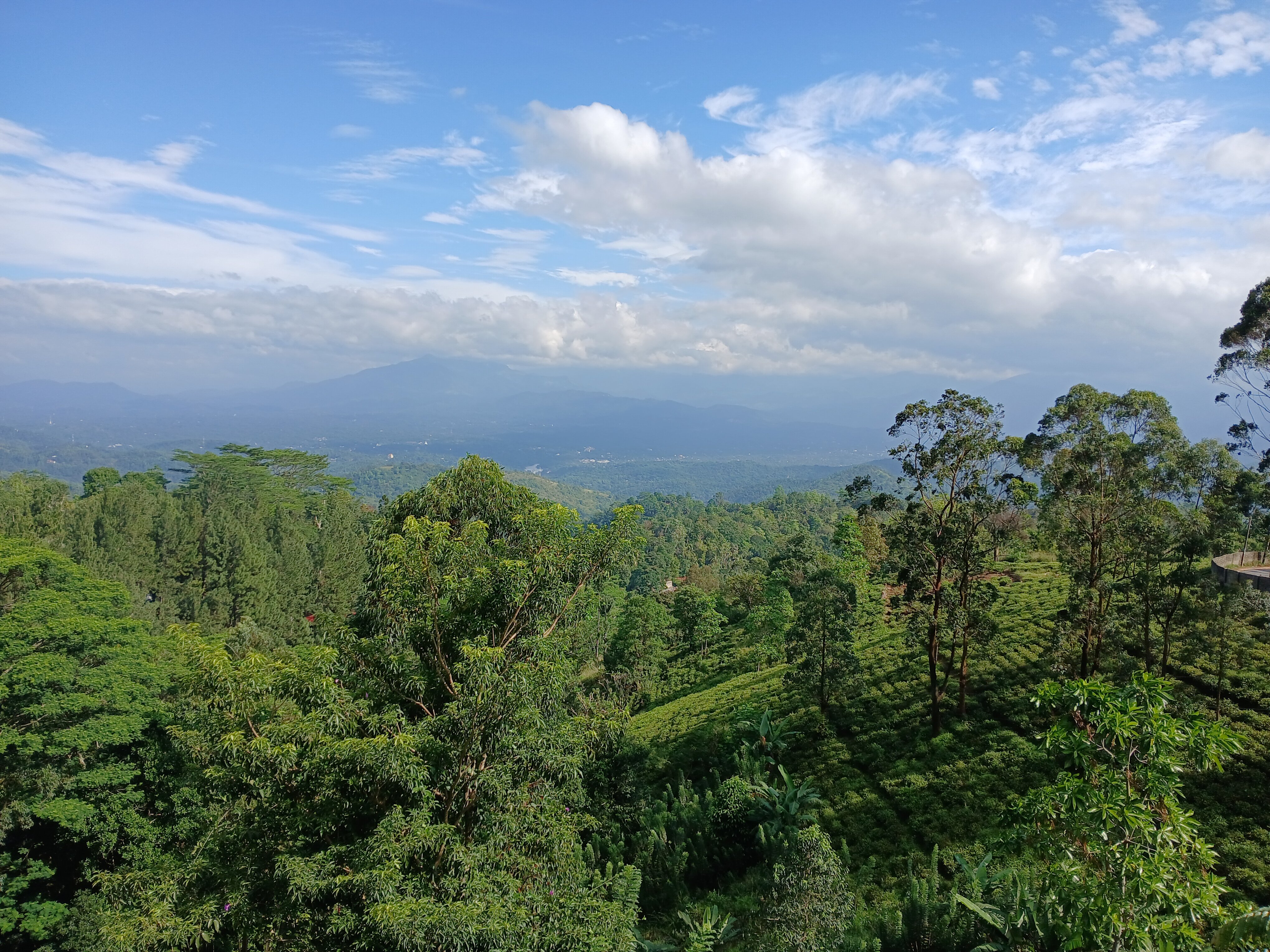Bellwood Hills Resort & Spa-酒店景观