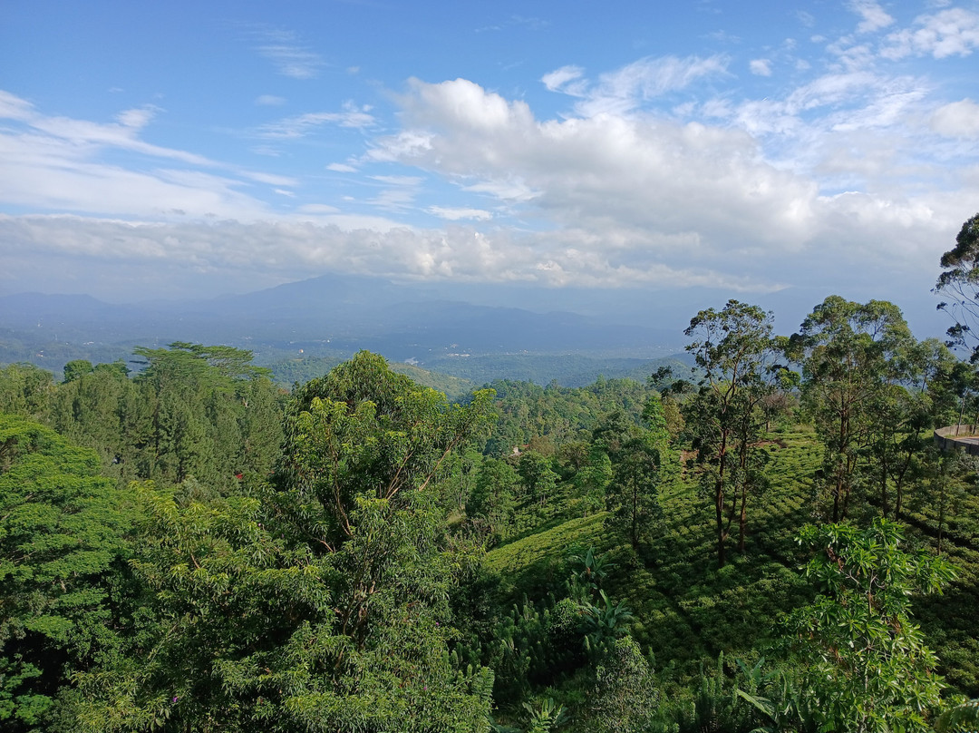 Bellwood Hills Resort & Spa主图