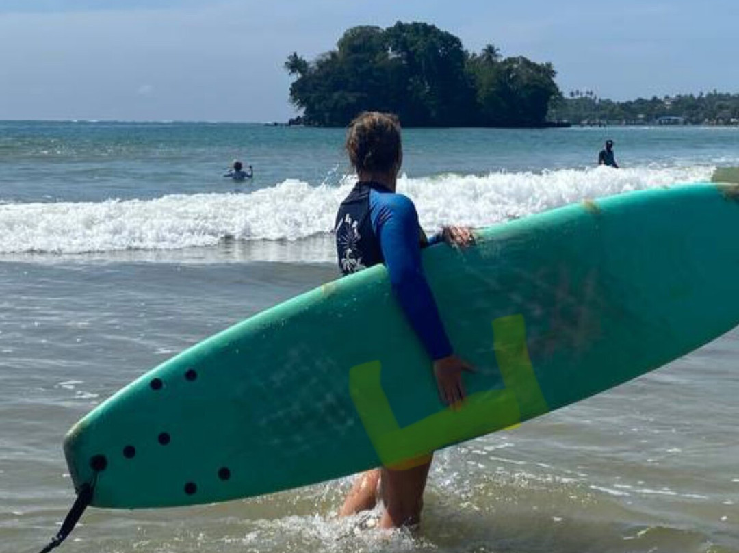 Coconut King Point (Navod Surf School)景点图片
