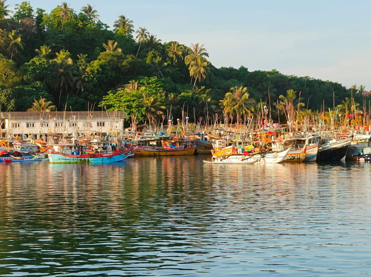 Lankawings Holidays-科伦坡必去景点