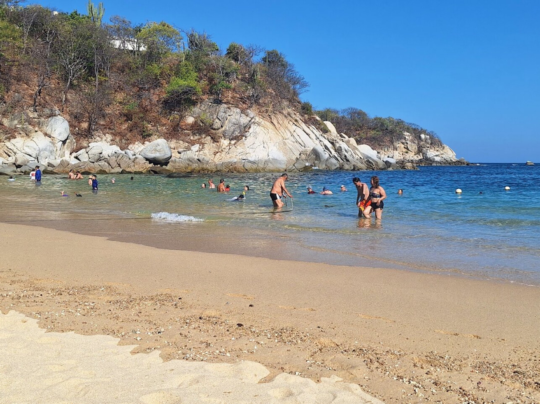 Playa Arrocito景点图片