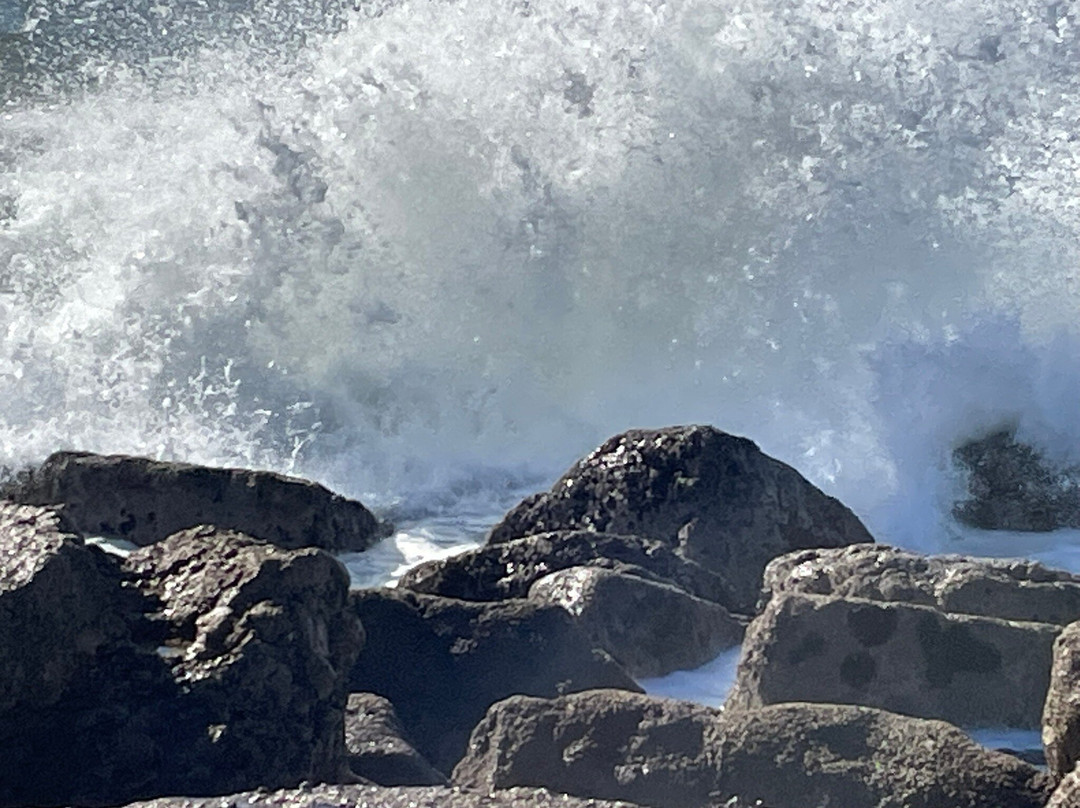 雷尔卡帕里卡酒店主图