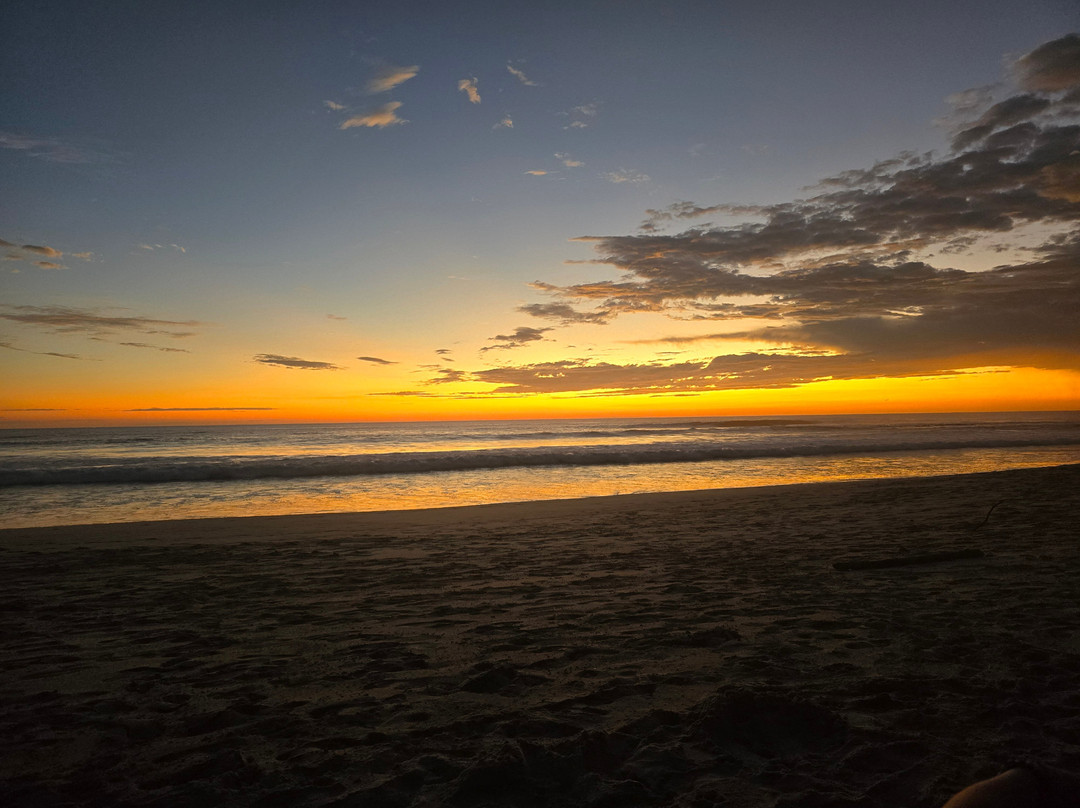 Playa Santa Teresa景点图片