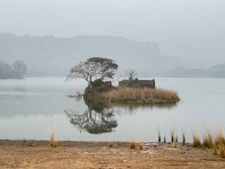 Ranthambore Jungle Safari景点图片