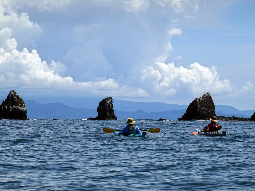 Seascape Kayak Tours Inc.景点图片