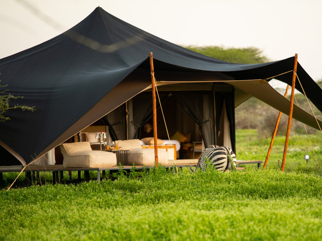 Jupe Collection - Nyuki Migration Camp