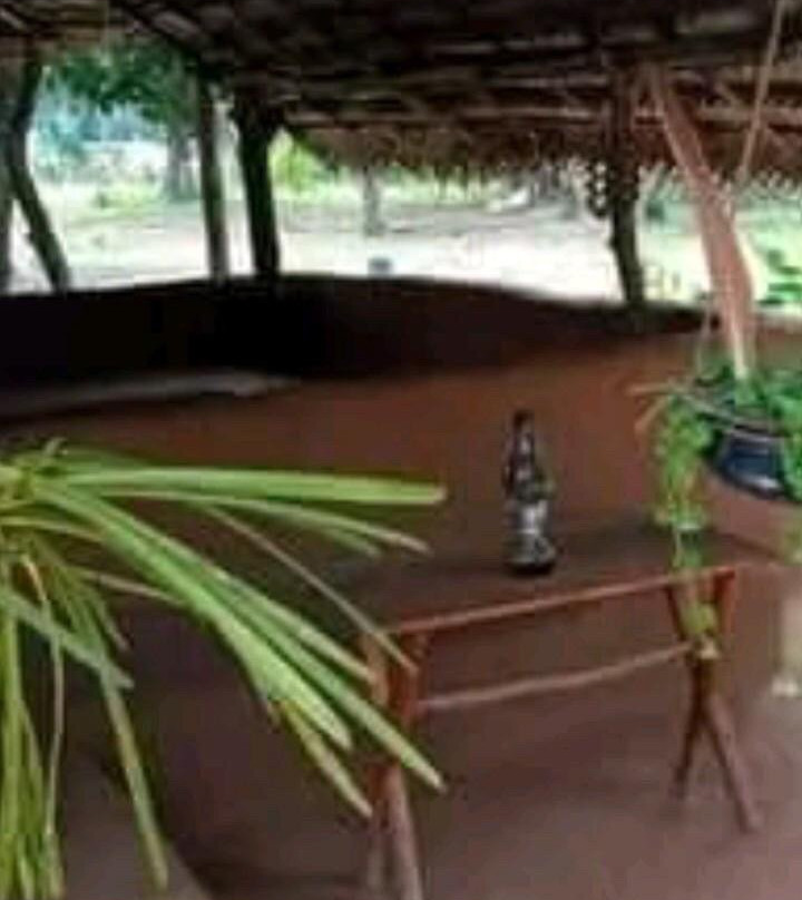 Kira Surf School景点图片