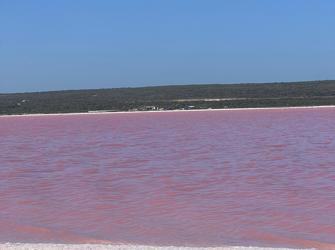 Pink Lake景点图片