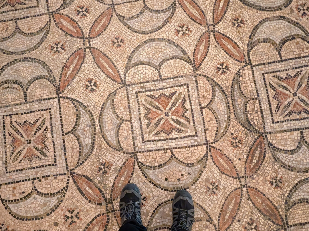 Archemilia Day Tours-博洛尼亚必去景点