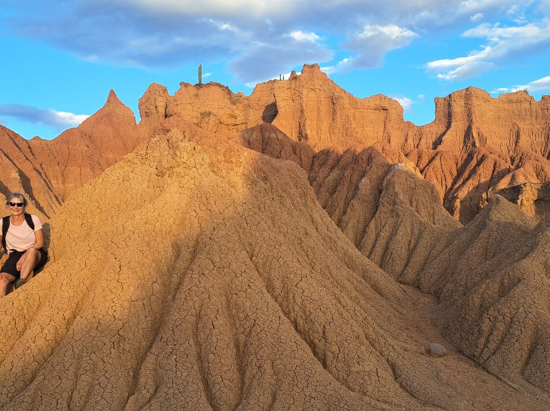Agencia Operadora De Turismo Fénix-Villavieja必去景点