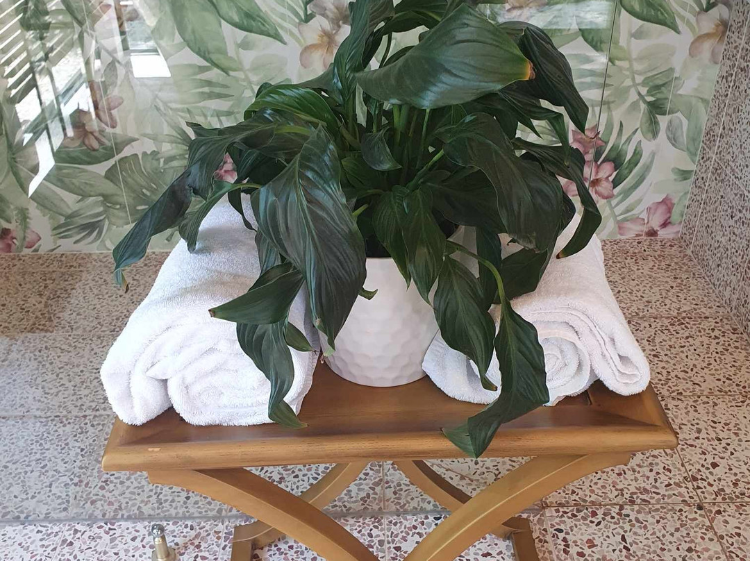 Mirador Springs Retreat主图