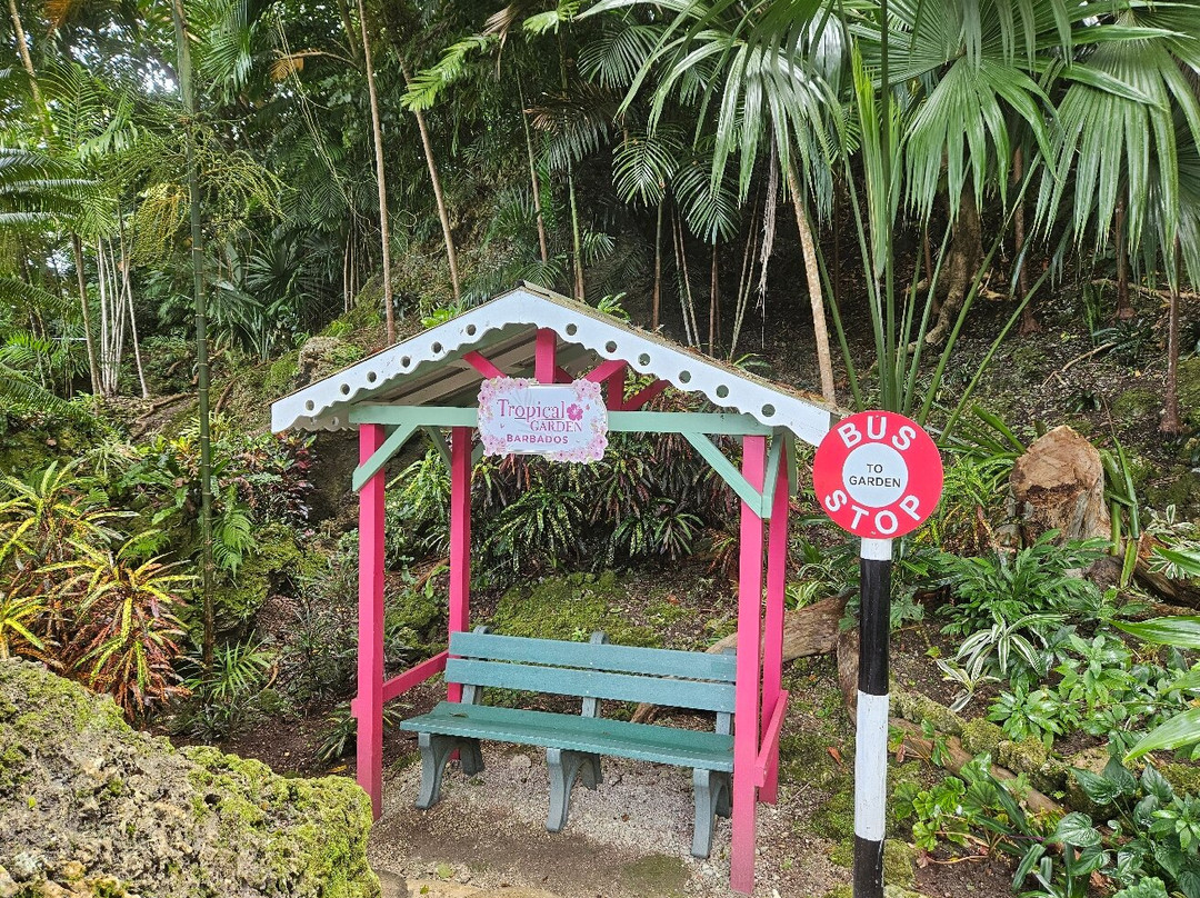 Tropical Garden Barbados